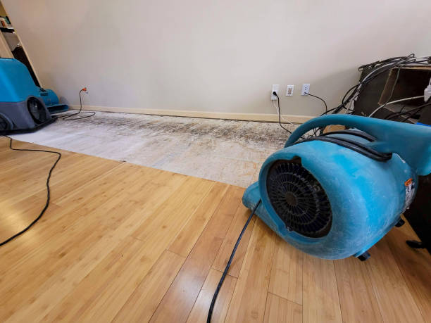 Professional Flood Damage Cleanup technician working in Overgaard, AZ